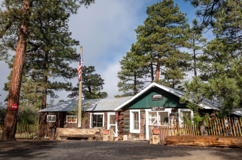 A rustic cabin surrounded by tall pine trees, featuring a flag and wooden benches in front.